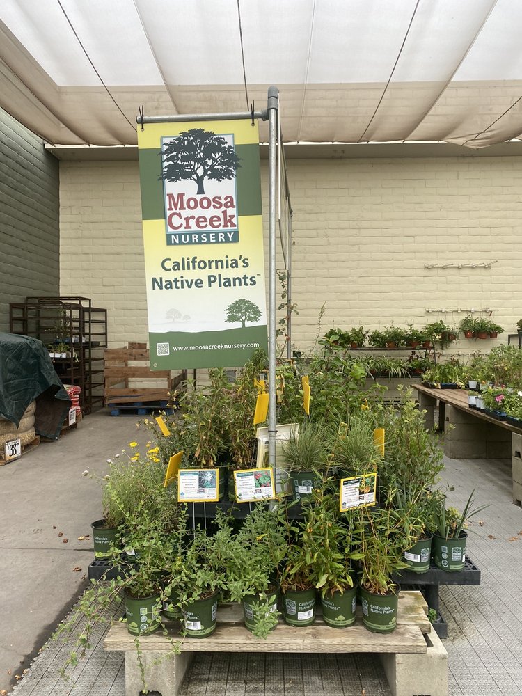 301 Moved Permanently