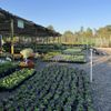 SiteOne Landscape Supply gift card