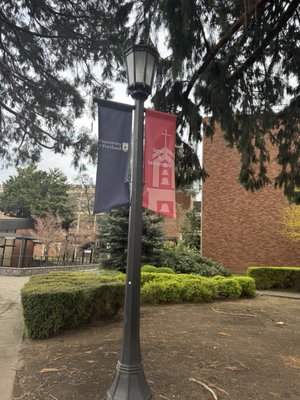 University of Portland by null