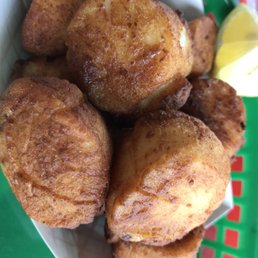 Scallops