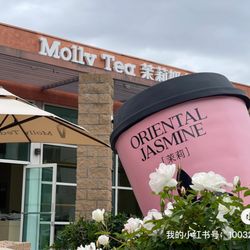 Molly Tea
