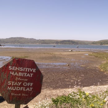 Hog Island Oyster - Please care for the living creatures - Seafood Near Me - Marshall, California