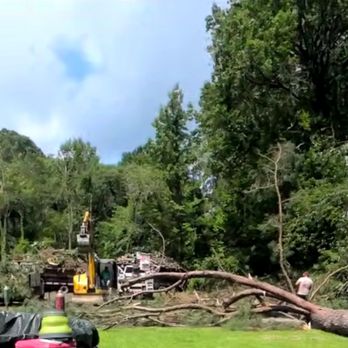 King Cutters Tree Service - Working on the 100+ foot tree that was threatening our home - Tree Services Near Me King Cutters Tree Service - Working on the 100+ foot tree that was threatening our home - Tree Services Near Me