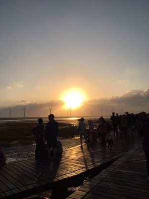 Gaomei Wetlands by null