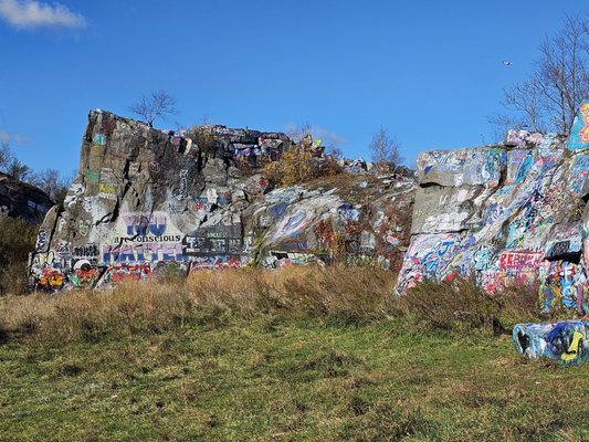 Quincy Quarries Reservation by null