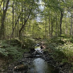 Deer Lake Club - Brook at Deer Lake