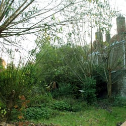 Jardin Communautaire des Retrouvailles - Arrivée dans le jardin