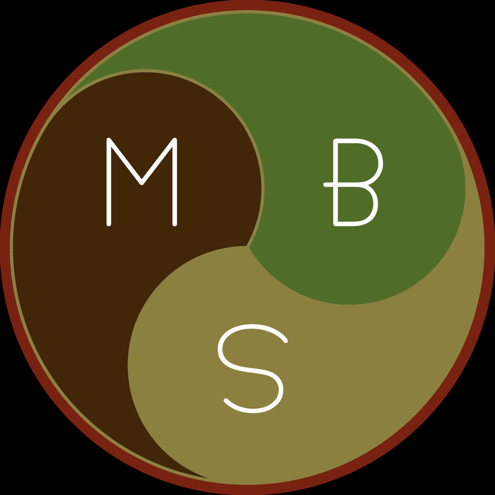 Mind Body Spirit Logo