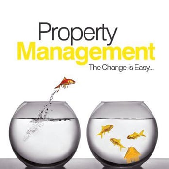 Denver Property Management - Make the jump! Join DPM! - Property Management Near Me - Centennial, Colorado Denver Property Management - Make the jump! Join DPM! - Property Management Near Me - Centennial, Colorado