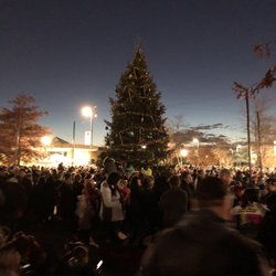 Elk Grove Township