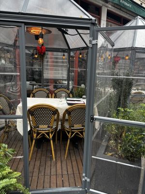 Felice Montague by null