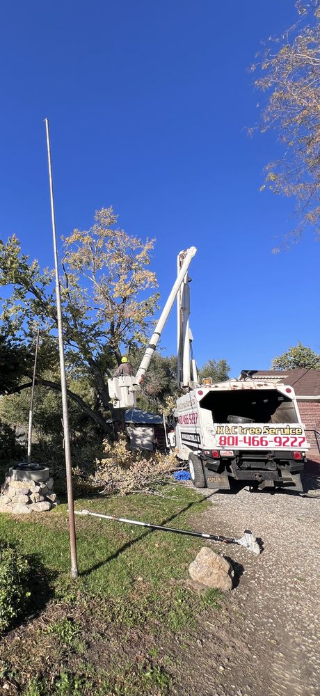K & C Tree Service Experts - tree service in Salt Lake City, UT
