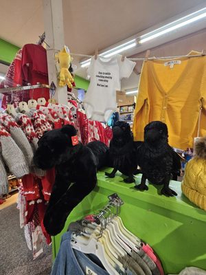 THE STAR STORE by null