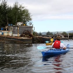 Kayak Tillamook - Viewing a wreck on the North Fork.