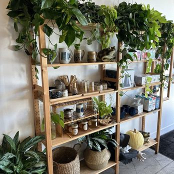 SACHI.LA - Coffee & Tea Near Me - Los Angeles, California SACHI.LA - Coffee & Tea Near Me - Los Angeles, California