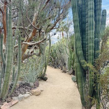 Moorten Botanical Garden - Nurseries & Gardening Near Me - Palm Springs, California Moorten Botanical Garden - Nurseries & Gardening Near Me - Palm Springs, California