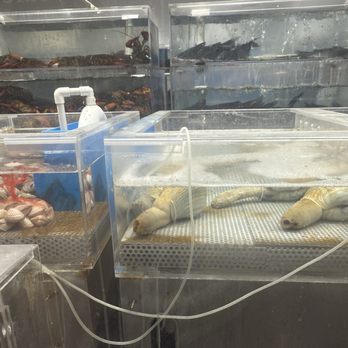 99 Ranch Market - Geoduck - International Grocery Near Me - Austin, Texas