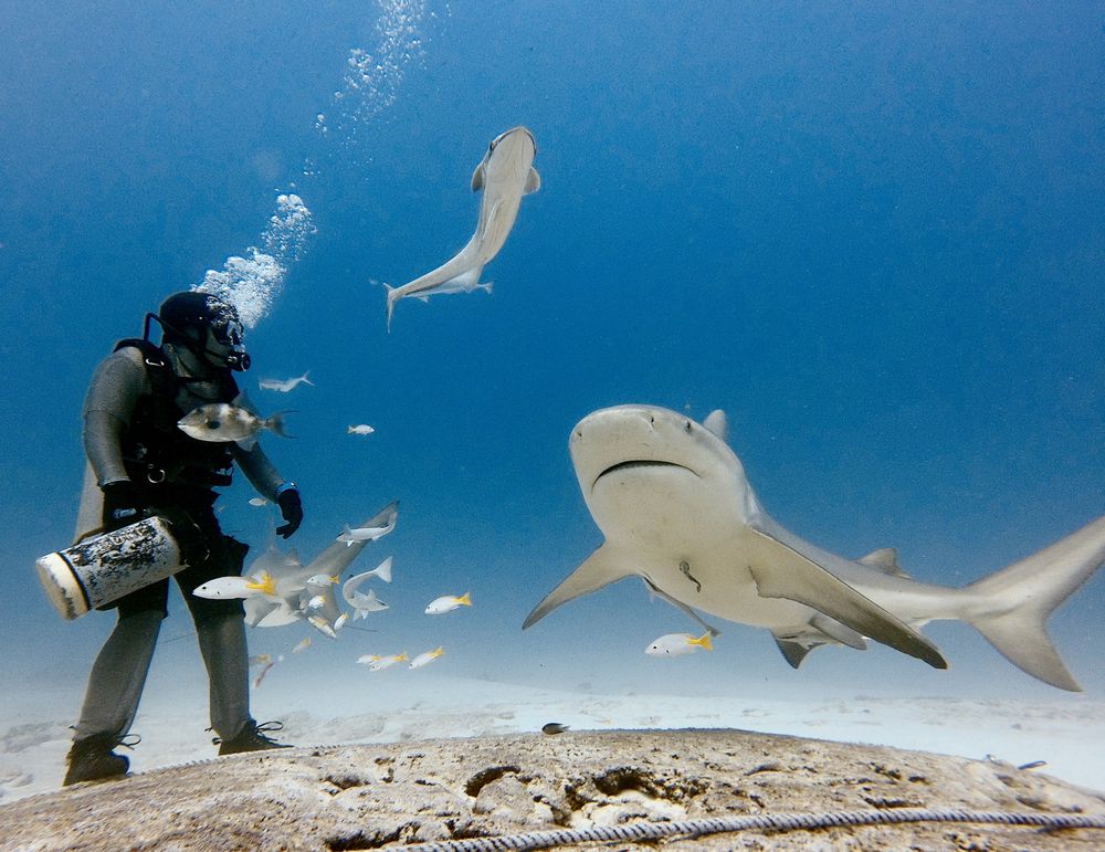 Get Wet Dive Shop