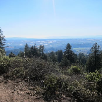 Byrne-Milliron Forest - Hiking Near Me - Corralitos, California