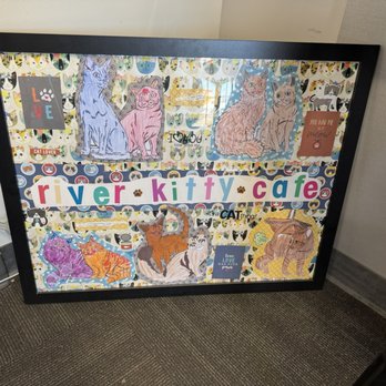 River Kitty Cafe - Coffee & Tea Near Me - Peoria, Illinois