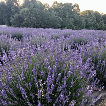 The Farm At Summitwynds - Venues & Event Spaces Near Me - Holden, Massachusetts