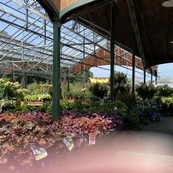 The Garden Barn Nursery - a variety of plants - Nurseries & Gardening Near Me - Vernon, Connecticut The Garden Barn Nursery - a variety of plants - Nurseries & Gardening Near Me - Vernon, Connecticut