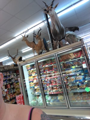 Archie's Food Basket by null