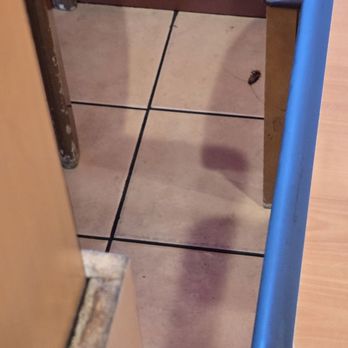 Albertano's Mexican Food - dead roach between the tables. i walked out. ewww! - Mexican Near Me - Arcadia, California Albertano's Mexican Food - dead roach between the tables. i walked out. ewww! - Mexican Near Me - Arcadia, California