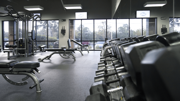 Gyms In New Port Richey