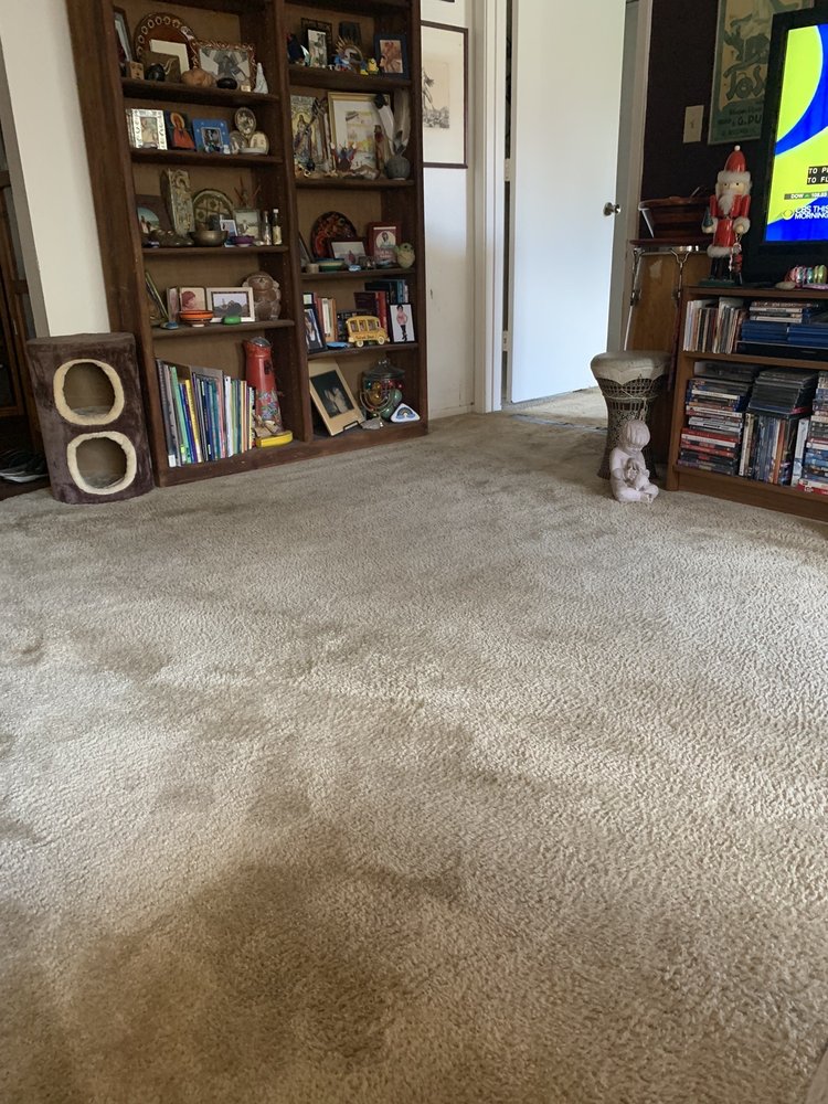 EFFECTIVE CARPET CLEAN Updated May 2024 2638 N Balboa, Tucson