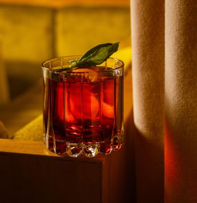 Tucci New York City by null