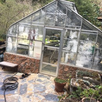 Regional Parks Botanic Garden at Tilden - Glasshouse - Botanical Gardens Near Me - Berkeley, California