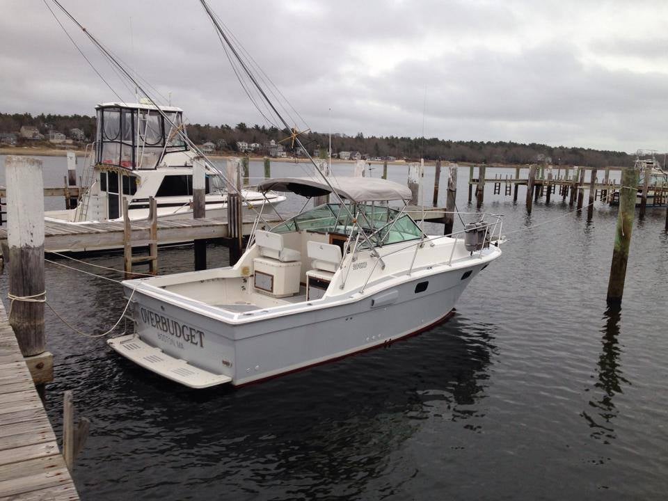 Social spots from Whats left Charters