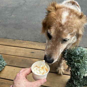 Brownie’s Pet Boutique - Oat milk soft serve on weekends! - Pet Stores Near Me - Larkspur, California