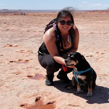 Dinosaur Tracks - Landmarks & Historical Buildings Near Me - Tuba City, Arizona