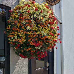 a hanging basket of flowers