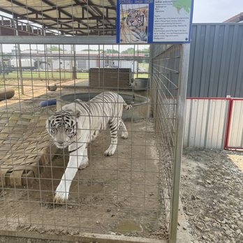 Sharkarosa Wildlife Ranch - Attraction Farms Near Me - Pilot Point, Texas Sharkarosa Wildlife Ranch - Attraction Farms Near Me - Pilot Point, Texas