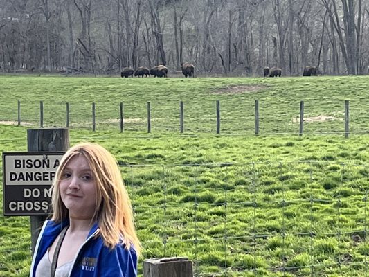 Big Bone Lick State Historic Site by null