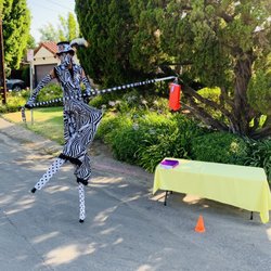 Stilt Circus - Social Distance Entertaining 2020