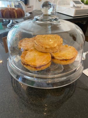 Casa Tropical by null