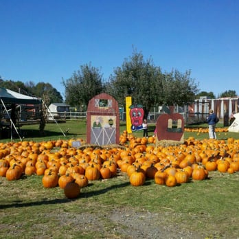 Sun High Orchard - Farmers Market Near Me - Randolph, New Jersey