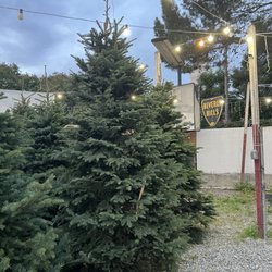 Chauvet Tree Farms