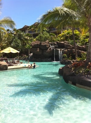 Ho olei at Grand Wailea by null