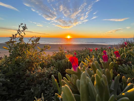 Dockweiler Beach by null