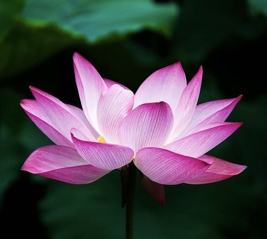 All Seasons Counseling Mediation & Family Consulting - grief counselor in Greenville, SC