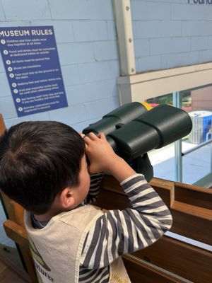 Children's Museum of Discovery by null