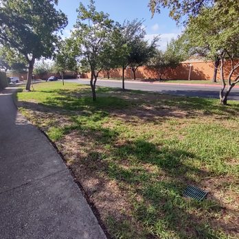 Greener Grass Lawn Company - Our grass is dying, horrible work - Landscaping Near Me - Live Oak, Texas Greener Grass Lawn Company - Our grass is dying, horrible work - Landscaping Near Me - Live Oak, Texas