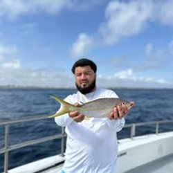 Bar Jack's Fishing