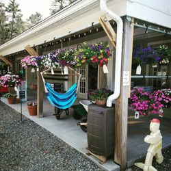 Great View Landscape - Proven Winners hanging baskets on the store front