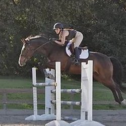 Lake Forest Farms - Show practice